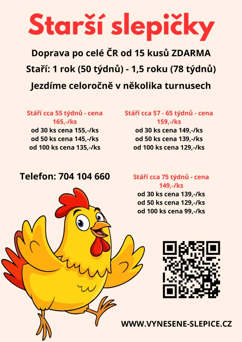 Plakát