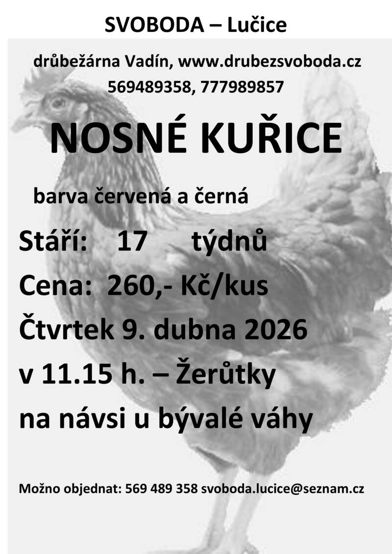 Plakát